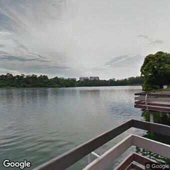 PogoMap.Info - Gym - Zig Zag Bridge MacRitchie Reservoir