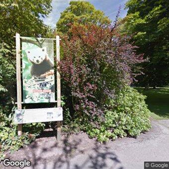 PogoMap.Info - Pokestop - Chester Zoo Act For China