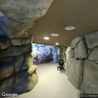 PogoMap.Info - Pokestop - John Ball Zoo South Park Map