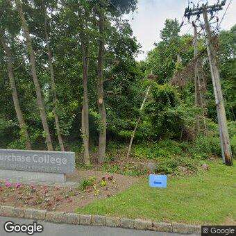 PogoMap.Info - Gym - Suny Purchase College
