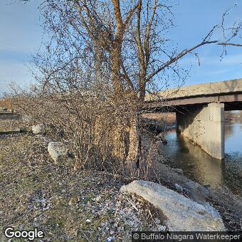PogoMap.Info - Gym - Buffalo River Watershed